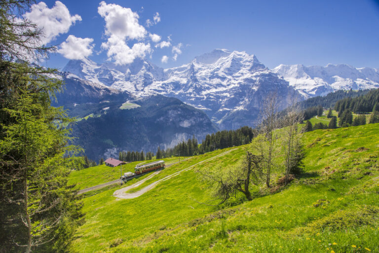 Mesmerizing Manali